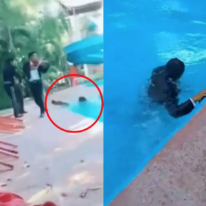 ¡Al agua! Así cayó un mariachi a una alberca en plena serenata