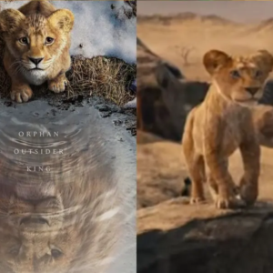«MUFASA»: Nuevo Live action del Rey León lanza su primer trailer y fechas de estreno