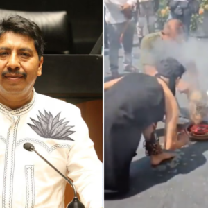 sacrificio de una gallina senado adolfo gómez