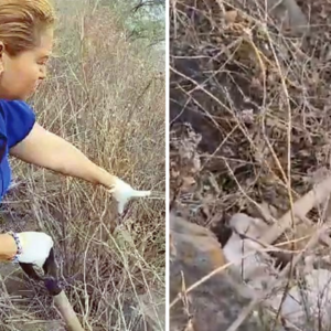 Ceci Flores, madre buscadora, halla restos humanos en Iztapalapa