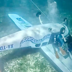 TRENDING: Avioneta se estrella al mar frente a Cozumel