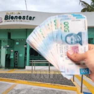 Pensión de Adultos Mayores se entregará desde el 4 de noviembre