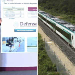 Gobierno invertirá 157 mil mdp para la construcción de trenes