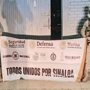 Gabinete de Seguridad: acciones relevantes del 17 al 19 de enero