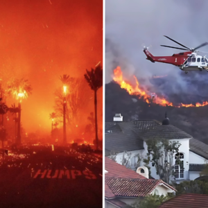 Suman 24 muertos por incendios en Los Ángeles, California