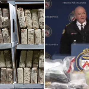 Decomisan 835 kilos de cocaína en Canadá; eran del CJNG