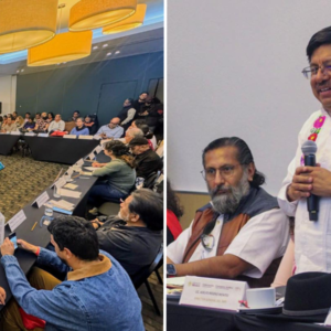 Avanza proyecto de Ley sobre Derechos de Pueblos Indígenas y Afromexicanos