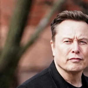 Musk presenta Grok 3, lo nuevo de su chatbot