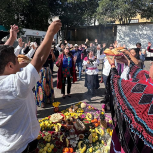 Definirán la parte procesal del Derecho a la Consulta de Pueblos Indígenas