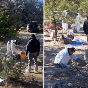 Suman 72 cuerpos hallados en fosas clandestinas de Chihuahua