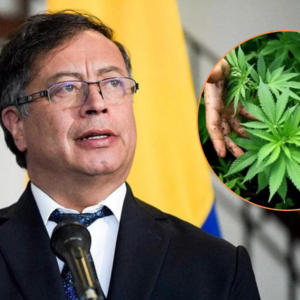 Gustavo Petro pide legalizar la mariguana en Colombia