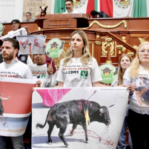 Congreso de la CDMX aprueba corridas de toros “sin violencia”