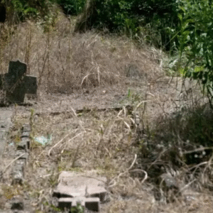 Pueblo serbio de Kisiljevo afirma ser cuna de los vampiros