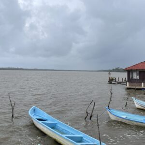 Tormenta Barry tocó tierra en Tampico Alto, al norte de Veracruz