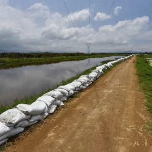 Lluvias intensas elevan peligro de desbordamiento del río Lerma en el Bajío